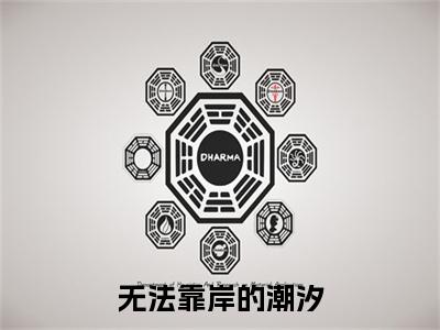 无法靠岸的潮汐：结局+番外宝藏文全篇一口气_早期章节+后续（靳沉野唐栖雾）