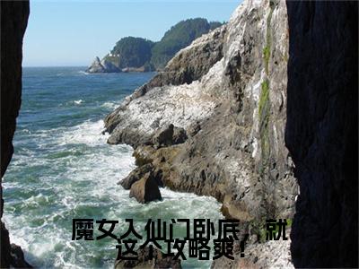 宋时卿谢寂玉小说(魔女入仙门卧底，就这个攻略爽！)全文+后续（宋时卿谢寂玉）畅享阅读