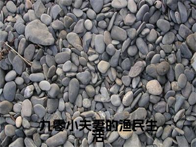 九零小夫妻的渔民生活：+番外+后续在线阅读石青青赵丰年