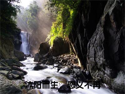 沐阳而生，恩义不再小说叫什么(顾辞轩季沐恩)小说全集阅读无广告（沐阳而生，恩义不再）番外+续集