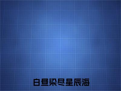（白昼染尽星辰海）白昼染尽星辰海小说(宋程宥南青禾)整书在线无广告高口碑小说