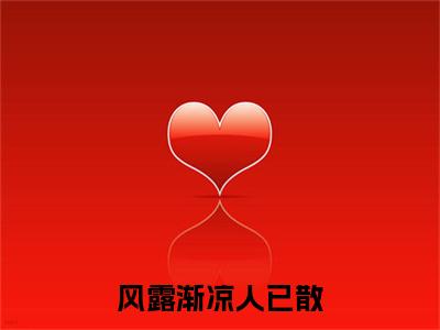 傅时序宋婉宁风露渐凉人已散小说无删减阅读无干扰（风露渐凉人已散）番外+续集