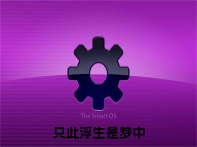 只此浮生是梦中小说无删减阅读清爽版（盛怀安宋今禾）外篇+续集