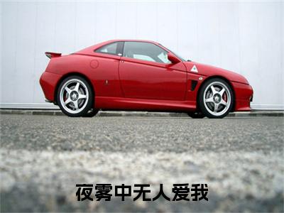 （傅西凛江雾眠）夜雾中无人爱我后续一口气无广告全书章节表