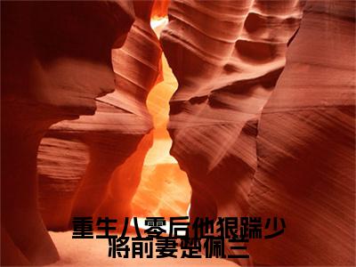 新章速递重生八零后他狠踹少将前妻楚佩兰是什么小说(简修廷楚佩兰)完本阅读无广告（重生八零后他狠踹少将前妻楚佩兰）