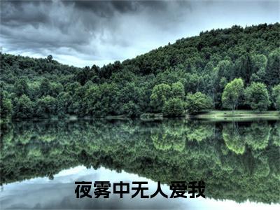 夜雾中无人爱我彩蛋完整在线阅读（傅西凛江雾眠）最近章节列表