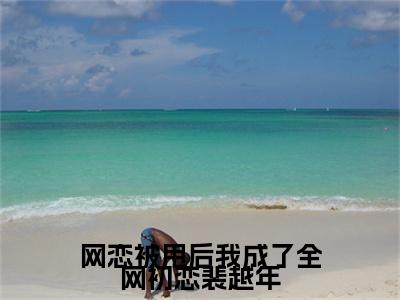 季明夏裴越年网恋被甩后我成了全网初恋裴越年续集起点章节+全书阅读（网恋被甩后我成了全网初恋裴越年）书荒必看