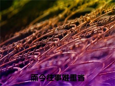 而今往事难重省：结局+番外精编之作（季恩媛盛铭却）完整章节列表_笔趣阁