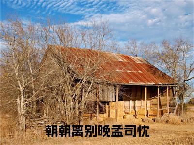 （头条）朝朝离别晚孟司忱(宋熙宁孟司忱)整本免费版阅读无广告（朝朝离别晚孟司忱）