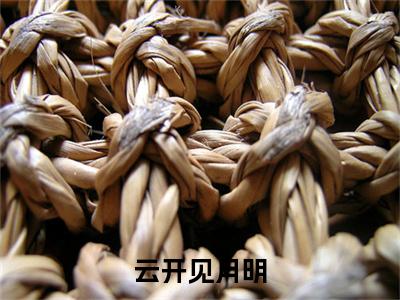 云开见月明续集(云开见月明)终极反转（陈容珉樊云伊）全篇一口气阅读
