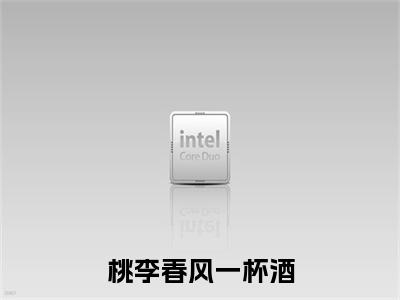 桃李春风一杯酒小说(林暖陆祁景)最近更新（桃李春风一杯酒）整本无套路阅读