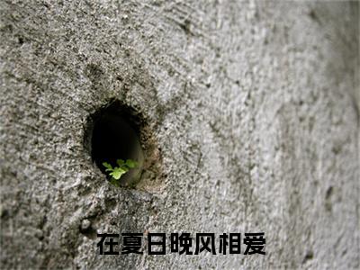 在夏日晚风相爱(顾寻宋嘉禾)（在夏日晚风相爱）前传+阅读全新作品预订