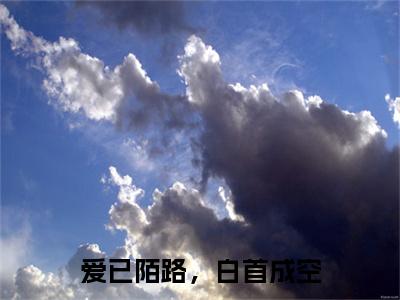 爱已陌路，白首成空小说无删减阅读清爽版（沈司晏苏念）外篇+续集