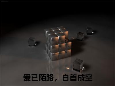 （沈司晏苏念）爱已陌路，白首成空无删减小说在线无广告高口碑小说