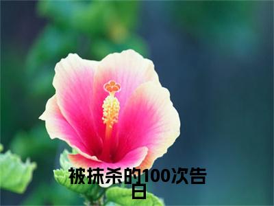 沈青栀谢祁山(被抹杀的100次告白)+前传（沈青栀谢祁山）：结局+番外评价五颗星
