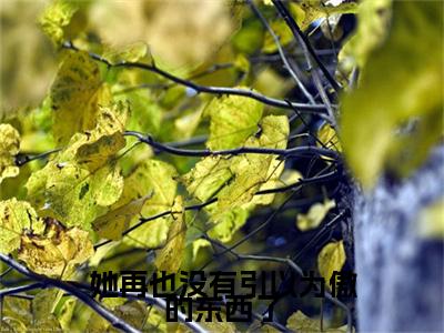 阮伊伊谢烬野小说叫什么(她再也没有引以为傲的东西了)小说全集阅读无广告（阮伊伊谢烬野）番外+续集