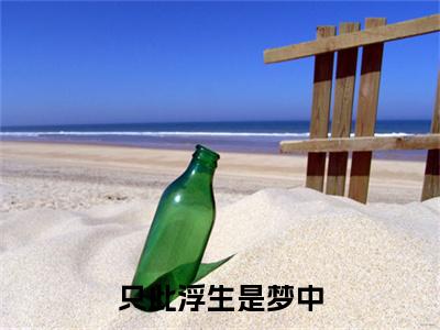 精选热门小说只此浮生是梦中（盛怀安宋今禾）-（盛怀安宋今禾）只此浮生是梦中免费阅读