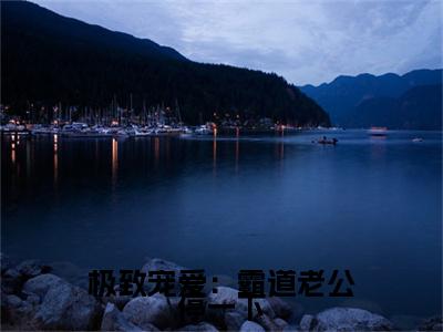（极致宠爱：霸道老公停一下）唐少珂秦枳：结局+番外精品选集起点章节+阅读即将发布预订
