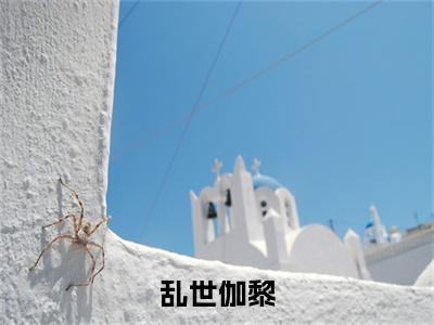 顾承煊余芊芊乱世伽黎小说（乱世伽黎）前传+全书阅读新作预览