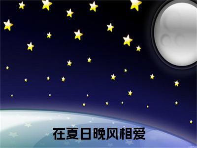 在夏日晚风相爱后续（顾寻宋嘉禾）全文在线下载在线+纯净版结局