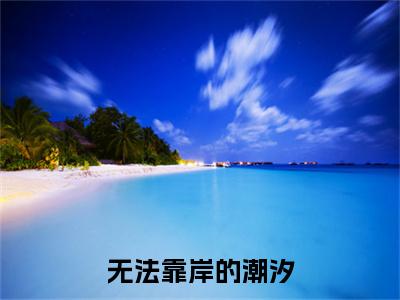 无法靠岸的潮汐完结篇(靳沉野唐栖雾)章节：结局+番外评价五颗星