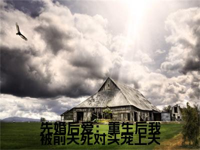 甄宝靳绍棠续集(甄宝靳绍棠)终极反转（先婚后爱：重生后我被前夫死对头宠上天）全篇一口气阅读