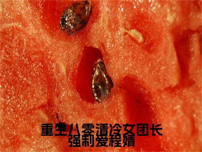 宋旭生程婧小说（重生八零清冷女团长强制爱程婧）+后续+结局在线阅读