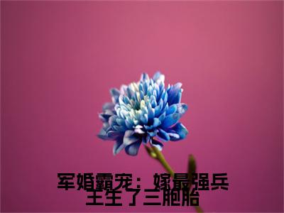 军婚霸宠：嫁最强兵王生了三胞胎：结局+番外宝藏文全篇一口气_早期章节+后续（叶穗穗陆正尧）