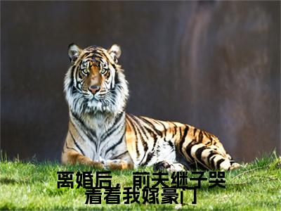 小说结尾小说霍鋆骁沈微澜小说全章已更新+无删减（离婚后，前夫继子哭着看我嫁豪门）无弹窗