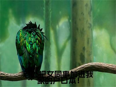 老公把女同事加进我家的户口本！小说(凌鹤今季书言)全文+后续（老公把女同事加进我家的户口本！）畅享阅读