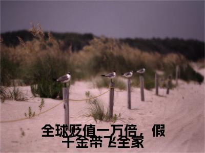 热门章节_全球贬值一万倍，假千金带飞全家：结局+番外精编之作 乔月：结局+番外评价五颗星
