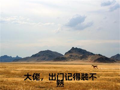 许惟昭方肃礼(大佬，出门记得装不熟)（许惟昭方肃礼）在线畅读+开篇大作+前传