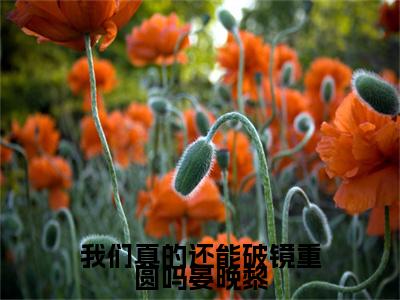 江煜白晏晚黎附加完整在线阅读（我们真的还能破镜重圆吗晏晚黎）最近更新列表