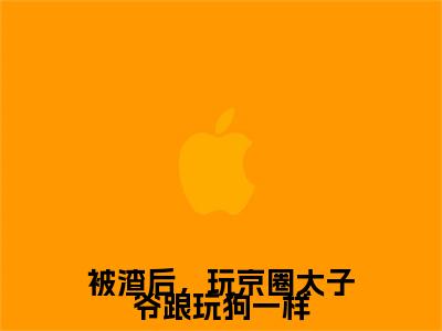 被渣后，玩京圈太子爷跟玩狗一样陆轻禾顾淮辞番外（陆轻禾顾淮辞）TXT+后续+结局在线阅读