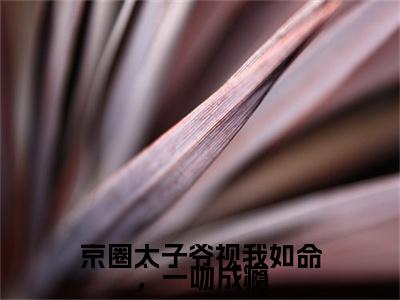 高分_宋皙顾黎商(京圈太子爷视我如命，一吻成瘾)（宋皙顾黎商）全本完整阅读