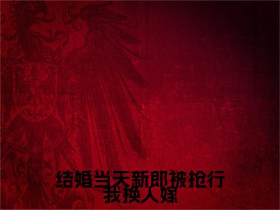 许虞小说（结婚当天新郎被抢行我换人嫁）起点章节+全篇阅读热门作品预订