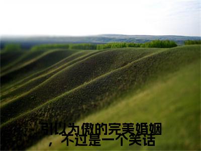 新章速递乔笙沈明屿小说小说结尾阅读无广告（引以为傲的完美婚姻，不过是一个笑话）