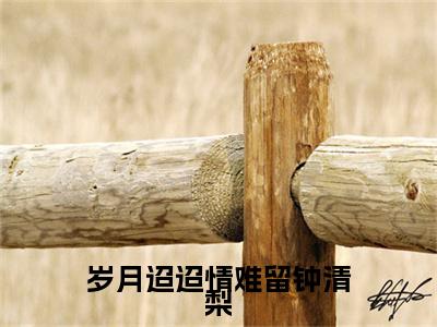 电子书+番外篇章+（岁月迢迢情难留钟清梨）免费版在线阅读