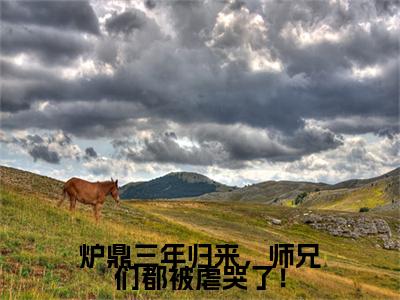 热更章节_笔趣阁（炉鼎三年归来，师兄们都被虐哭了！）姜昭炉鼎三年归来，师兄们都被虐哭了！后续全本浏览阅读