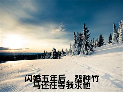 （裴逸之林晚）闪婚五年后，怨种竹马还在等我求他：结局+番外精品选集起点章节+阅读即将发布预订