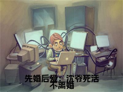 苏墨沈宴小说(先婚后爱：沈爷死活不离婚)全文+后续（苏墨沈宴）无套路阅读