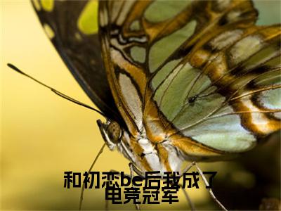 和初恋be后我成了电竞冠军最新章节（乔温颜傅靳川）全文免费阅读无弹窗大结局_乔温颜傅靳川免费阅读