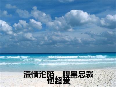 深情沦陷，腹黑总裁他超爱小说（林书晚傅砚辞）起点章节+全篇阅读热门作品预订
