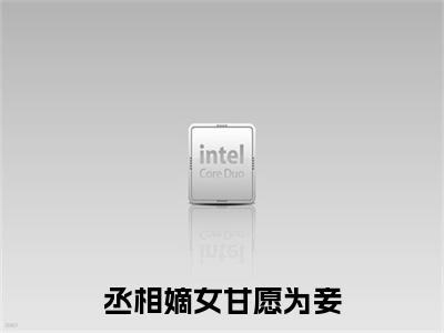丞相嫡女甘愿为妾（沈隽顾安）前文+全本完整阅读预售作品抢先看