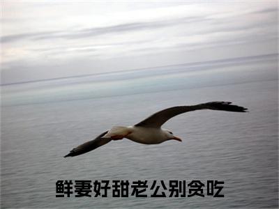 （容彻林紫杉）容彻林紫杉小说(鲜妻好甜老公别贪吃)整书在线无广告高口碑小说