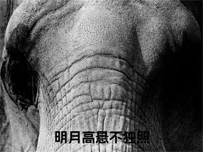 新章速递菊夏月裴野小说小说结尾阅读无广告（明月高悬不独照）