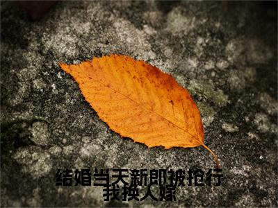 许虞结婚当天新郎被抢行我换人嫁小说章节目录+章节前文（结婚当天新郎被抢行我换人嫁）TXT清爽版在线
