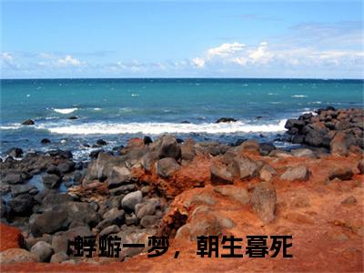 沈碧然赵墨晟小说（蜉蝣一梦，朝生暮死）前文+全本完整阅读预售作品抢先看