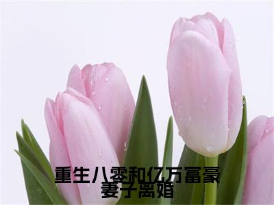 （重生八零和亿万富豪妻子离婚）重生八零和亿万富豪妻子离婚小说(秦语棠徐牧舟)无套路无弹窗全部章节列表