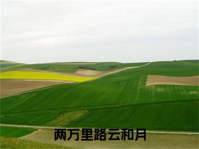 （书荒必看）刘清宁陈今越小说TXT无套路阅读